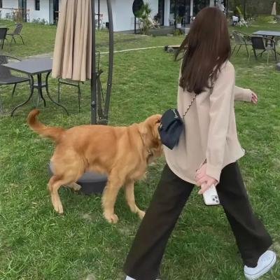 乐园追放 心之共鸣